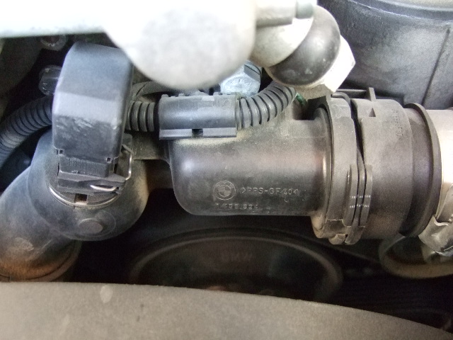 DIY Thermostat Replacement with pics E46 Fanatics Forum