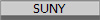 SUNY